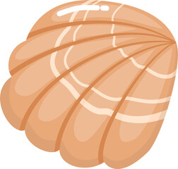 Cute Orange Seashell