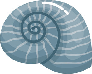 Blue Seashell illustration