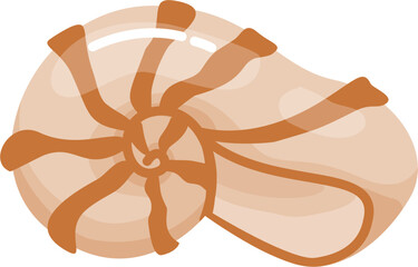 Nautilus Seashell illustration