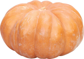Perfect Pumpkin Without Background