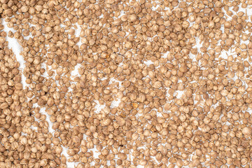 Cardamom (Elettaria cardamomum) is a drink ingredient or traditional medicine.