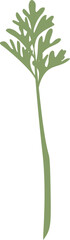wormwood small wavy leaf stalk