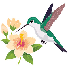 Obraz premium hummingbird drinks from the flower vector