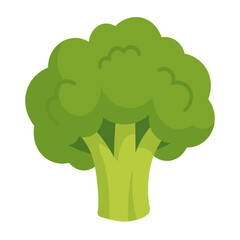 Vector illustration of a green broccoli vegetable in cartoon flat style, isolated on white background.