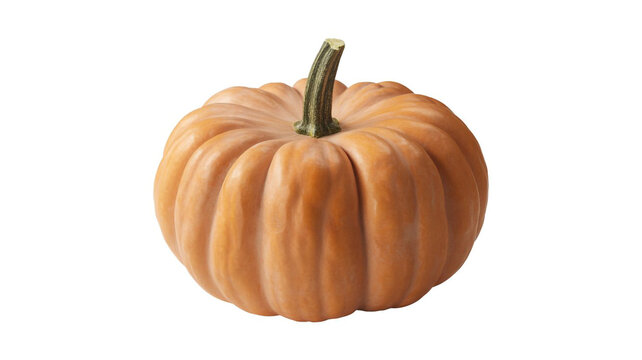 Orange pumpkin with a green stem on a white background