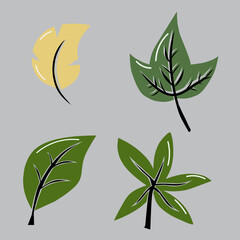 Leaf cartoon vector illustration set