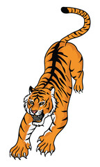 tiger with white background separate