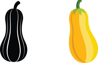 Butternut squash illustration black silhouette and yellow ripe vegetable isolated