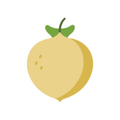 Jicama vegetable illustration in simple and minimalist style for design projects