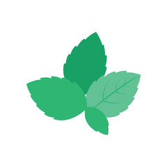 Fresh mint leaves simple flat design element on white background © AbuBakkar