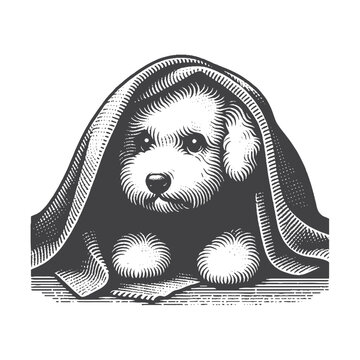 vintage hand-drawn bichon frise illustration &ndash; cozy dog engraved style vector for t-shirts, posters, stickers, and comfort themes