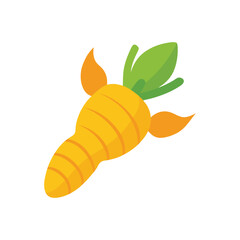 Cute cartoon carrot illustration with flat design style on a white background