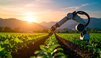 automatic robot arm harvesting plant in field against sunset, AI Generated