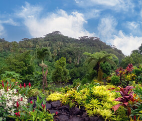 Lush tropical vegetaion on Upolu Island, Samoa, South Pacific