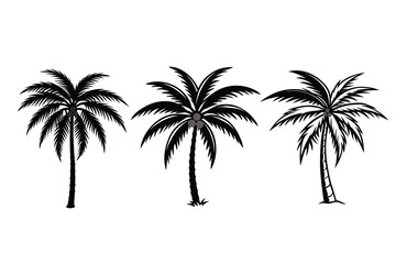 Tropical Palm Tree Vector Silhouette for Summer and Beach Design