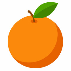 Orange Vector – Cara Cara Navel Orange Fruit with Leaves Isolated on White Background Realistic Vector 
