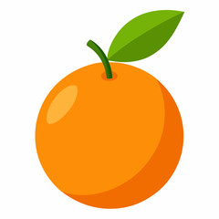 Orange Vector – Kumquat Orange Fruit with Leaves Isolated on White Background Realistic Vector 