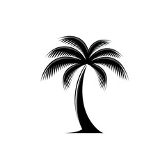 Obraz premium Silhouette of a Palm Tree
