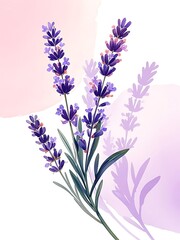 Naklejka premium Delicate lavender blooms watercolor style botanical art
