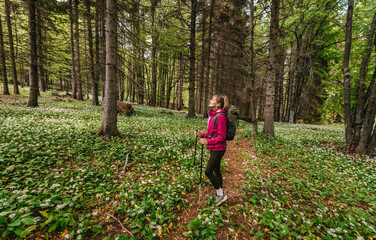 Woman Walking in Flowering Wild Garlic Forest