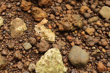 Natural textured soil mixed with various small rocks and pebbles