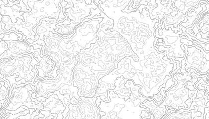 Topographic Topo Map Background. Topographic contour map on white background. Vector grid map.
Vector Illustration
