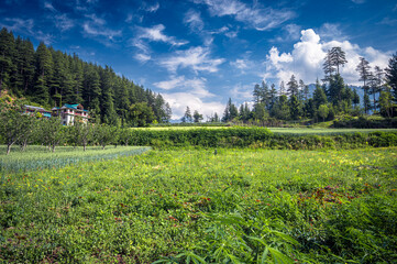 Summer landscape in the mountains.  Pundarik  Upper Neahi village. Sainj Valley, Eco Zone, Great Himalayan National Park, Himachal, India.