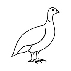 minimalist sandgrouse silhouette vector
