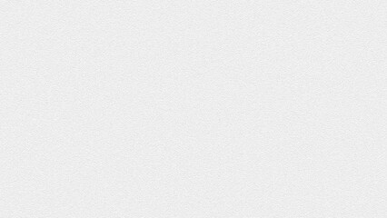 white canvas texture