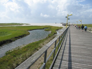 Steg neben Salzwiese, Priel und Sandstrand von Sankt Peter Ording an der Nordseeküste