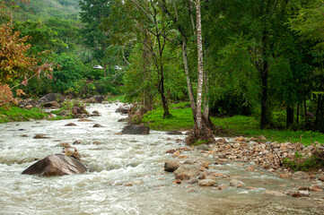 Flowing River from Waterfall in Nakhon Si Thammarat, Thailand &ndash; Peaceful Stream in Tropical Forest Landscape