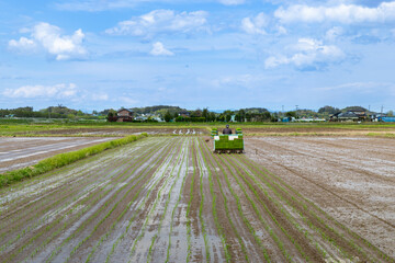 日本の稲作　乗用田植機による田植え作業