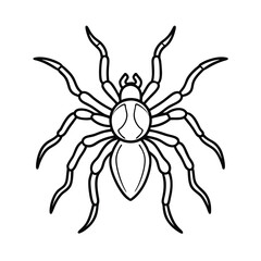 spider line art coloring page vector illustration