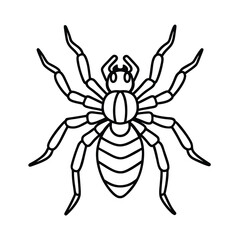spider line art coloring page vector illustration
