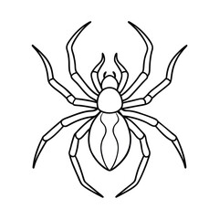 spider line art coloring page vector illustration