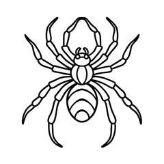 spider line art coloring page vector illustration