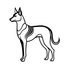 stylish dingo silhouette vector on white backgroun