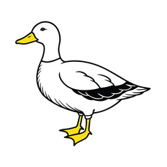 yellow billed teal sketch vector
