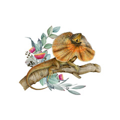 Frilled lizard on the tree branch with floral decoration watercolor illustration. Hand drawn Australia native dragon reptile with eucalyptus decor. Frilled agama sitting on tree twig white background