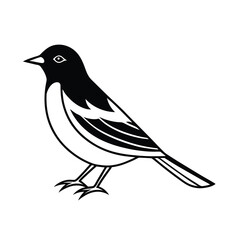 warbler vector on white background