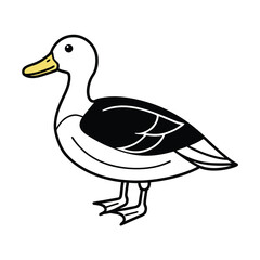 yellow billed teal sketch vector