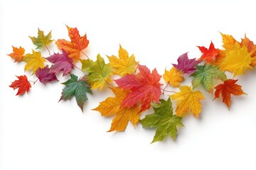Colorful autumn leaves isolated on white background, perfect for seasonal designs and decorations.