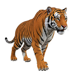 Obraz premium tiger isolated on white background