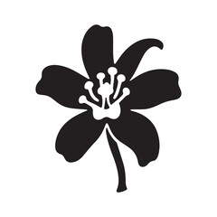 Vanilla flower bloom clipart vector art and illustration Silhouette white background