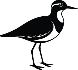 Plover Silhouette Vector, Bird Clipart Animal Vector