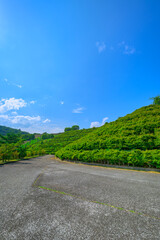  宮ヶ瀬の緑豊かな丘陵と青空の広がる景色　神奈川県愛甲郡清川村