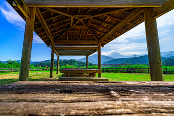  爽やかな青空の下に広がる宮ヶ瀬のピクニックエリア　神奈川県愛甲郡清川村　
