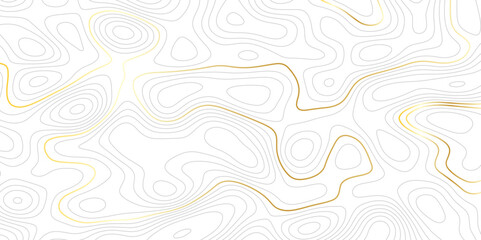 Complex topographic contour lines abstract geographic map. Intricate line patterns on background Minimal Contour Map Pattern Design


