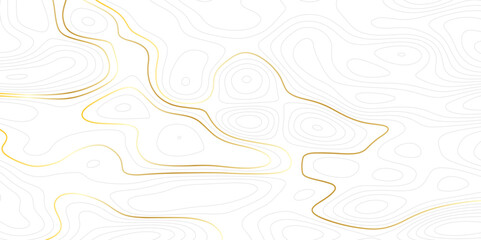 Complex topographic contour lines abstract geographic map. Intricate line patterns on background Minimal Contour Map Pattern Design


