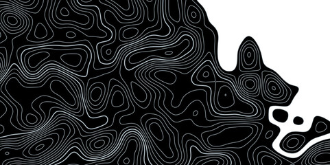 Complex topographic contour lines abstract geographic map. Intricate line patterns on background Minimal Contour Map Pattern Design



